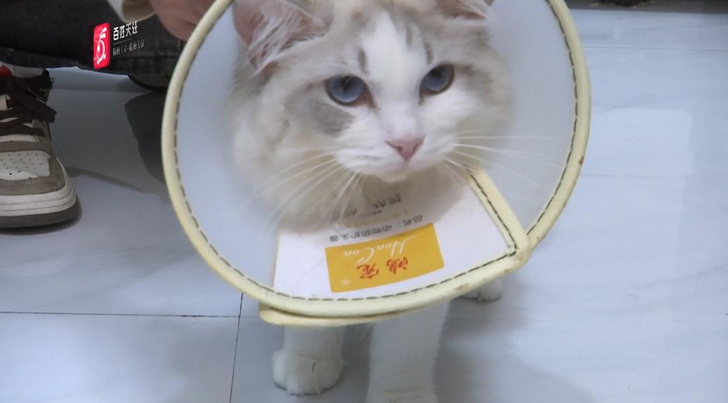 DƬ